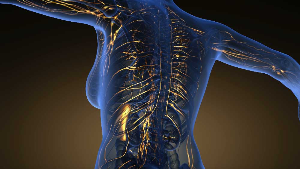 Lymph-System Yoga Training Application