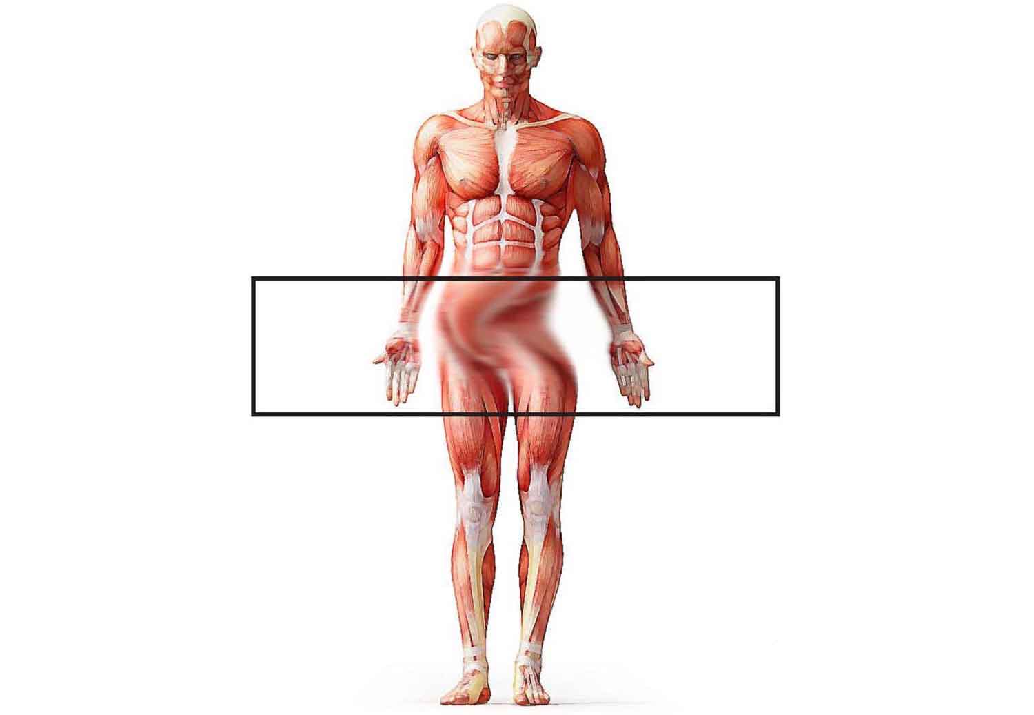 strong-man-2 Strong Body Man
